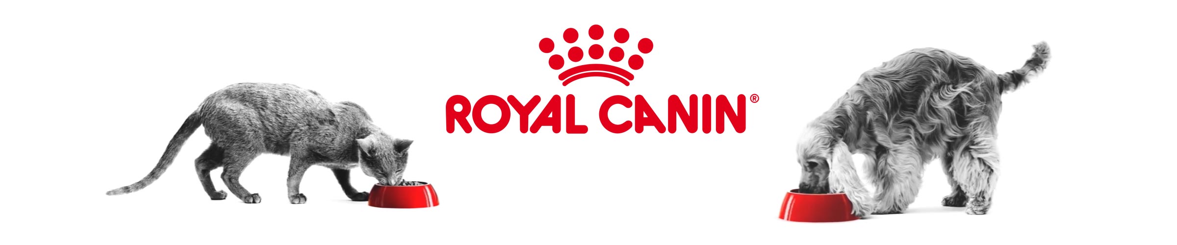 Buy Royal Canin from Wallington's WRG