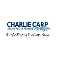 Charlie Carp