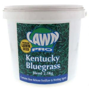 LAWN PRO Kentucky Bluegrass Blend Grass Seed 2.5kg