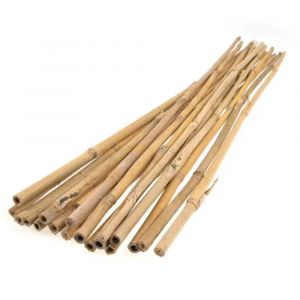 RYSET Bamboo Stakes 1800 x 13mm - Single