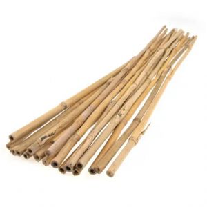 RYSET Bamboo Stakes 1800 x 10mm - Single
