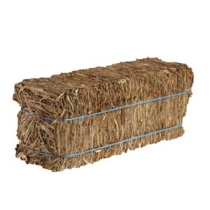 Grass Hay Rectangle Bale