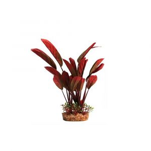 Silk Plant Red Echinodorus W/Gravel Base (L)