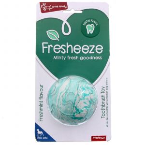 Fresheeze Mint Ball Toothbrush Toy Large Dogs