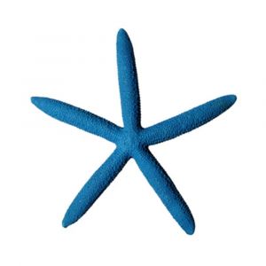 Hermit Crab Starfish Blue 15X13.8X1.7Cm Kongs
