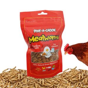 Dried Mealworms 283G Dine-A-Chook