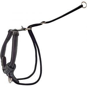 ROGZ Control Stop Pull Harness Black - Extra Large