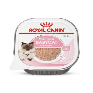 Royal Canin Mother & Baby Cat Food 100g
