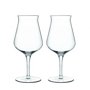 Luigi Bormioli Birrateque Tester Glass - Set of 2