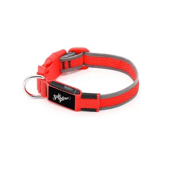 Led Dog Collar - Red Safeglow Small