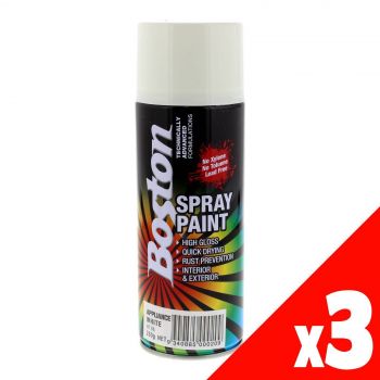 Spray Paint Appliance White Campbells PK3