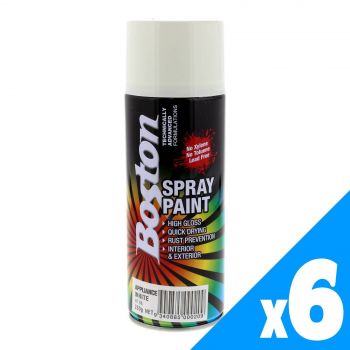 Spray Paint Appliance White Campbells PK6