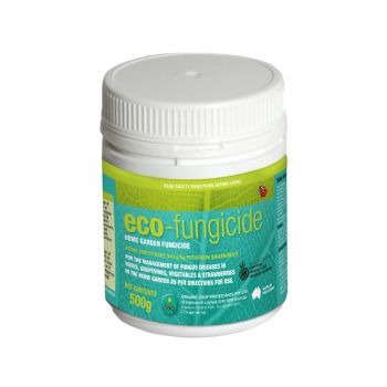 Eco-Fungicide Powder 500G