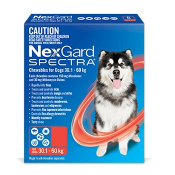 Nexgard Spectra Parasite Treatment For Dogs 30 - 60kg 6 Pack