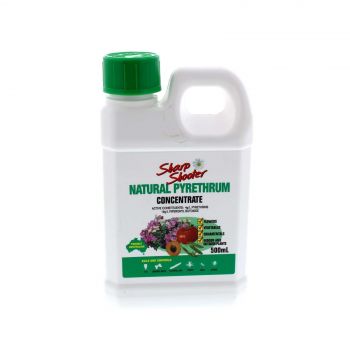 Pyrethrum Concentrate Fly Cabbage Moth Caterpiller Thrip etc Sharp Shooter 500ml