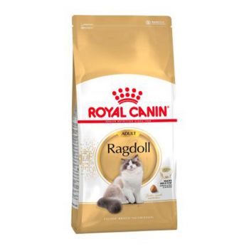 Cat Food Royal Canin Ragdoll 2kg Premium Dry Food Specific Diet Nutrition