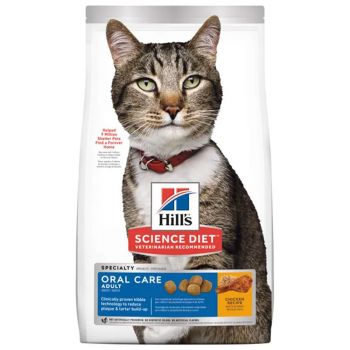 Cat Food Hills Cat Oral Care Science Diet 2kg Premium Dry Food Healthy