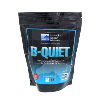 B Quiet Thiamine (Vitamin B1) Supplement for Performance Horses Equine 600g