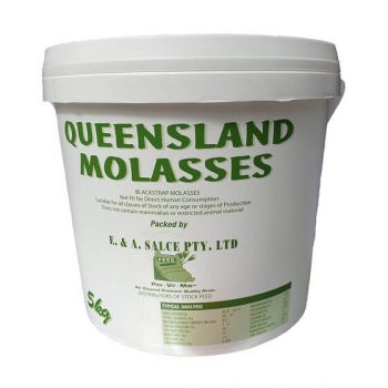 Queensland Molasses Bucket 5kg
