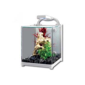 Reflex 26 Glass Aquarium 26L White Kongs