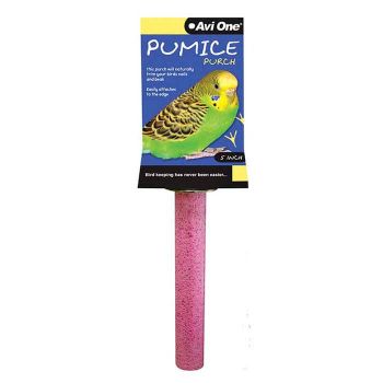 Bird Perch Pumice Light Pink 5 Inch Kongs
