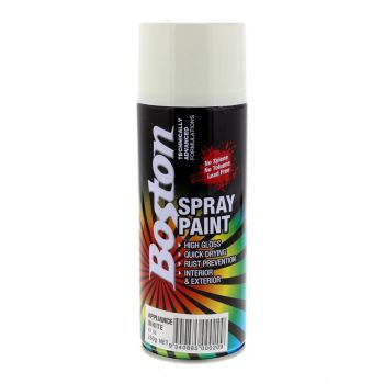 Spray Paint Appliance White Campbells