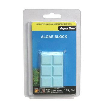 Block Algae Eliminator 4Pk 20G X 4 Kongs