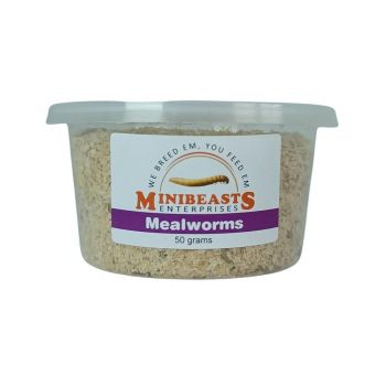 Mini Beasts Mealworms 50g