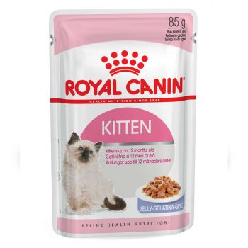 Royal Canin Instinctive Kitten Jelly 85g Single Pouch Cat Food Wet In Jelly Premium Quality