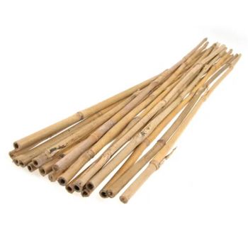 RYSET Single Bamboo Stake 600 x 8-10mm