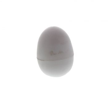 Nesting Eggs Plastic Decrease Egg Breakage Bird Aviary Health Fake Egg Chicken
