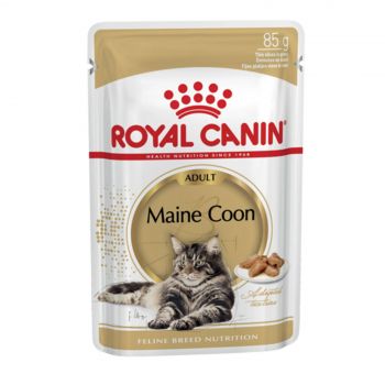 Royal Canin Maine Coon Adult 85g Single Pouch Cat Food Wet In Gravy Premium Quality