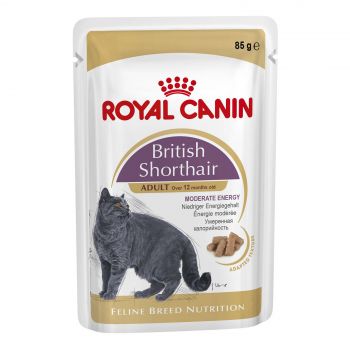 Royal Canin British Shorthair Adult 85g Single Pouch Cat Food Wet In Gravy Premium Quality