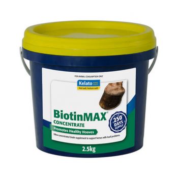 Biotin Max Concentrate 2.5Kg Kelato