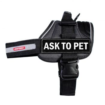 Ezydog Ask To Pet Dog Side Patch Fits Convert Harness 2 Pack Small 30+ Designs