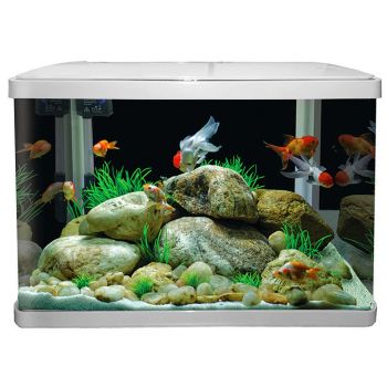 Lifestyle 52 Glass Aquarium 51Cm 52L G/White Kongs