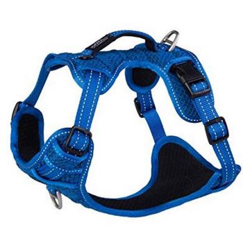 ROGZ Specialty Explore Harness Blue - Medium