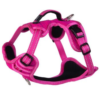 ROGZ Specialty Explore Harness Pink