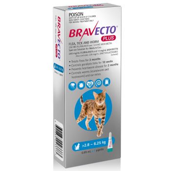 Bravecto Cat Plus 250Mg 2.8-6.25Kg Blue