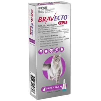 Bravecto Cat Plus 500Mg 6.25-12.5Kg Purple