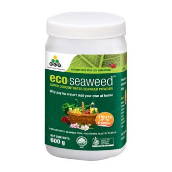 Eco-Seaweed Concentrated 600G