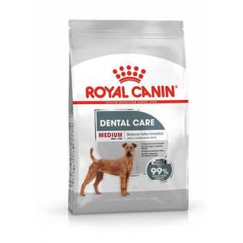 Royal Canin Medium Breed Dental Care Dried Dog Food; Adult Dog Food; Medium Breed Dog Food; Dry Dog Food; Dental Care Dog Food