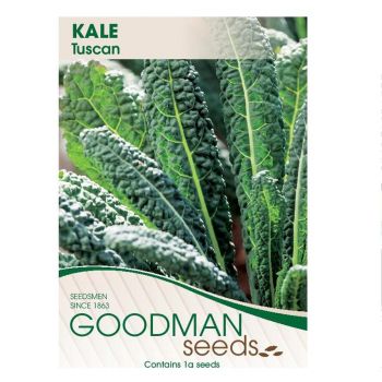 Kale Tuscan Goodman Seeds
