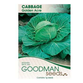Cabbage Golden Acre Goodman Seeds