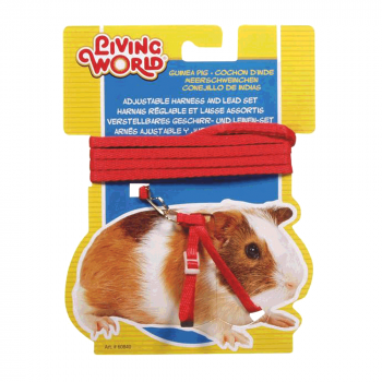 Living World Guinea Pig Harness/Lead Set Red