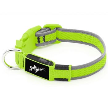 Led Glow Dog Collar - Light Green Safeglow - Medium