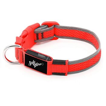 Led Glow Dog Collar - Red Safeglow - Medium
