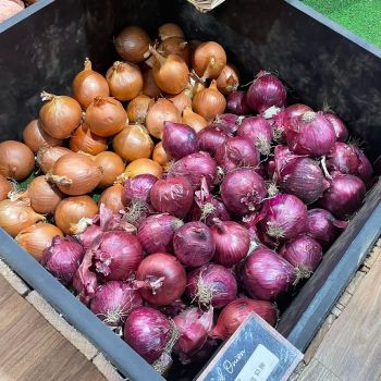 Red Onion - per kg