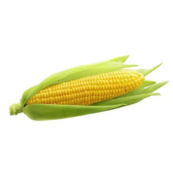Sweet Corn - Each