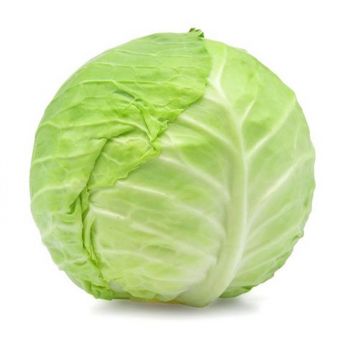 Cabbage Plain - Each